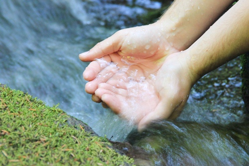 10315868 - a pair of hands cupping water from a pure mountain spring